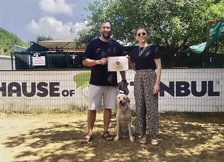 Köpek Egitimi Alan Dostlarimiza Köpek Oteli Hizmetinde Büyük Indirim