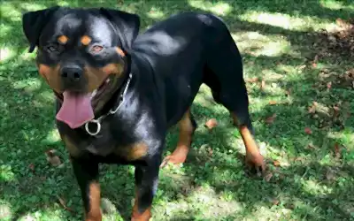 Gucci Hause Of İstanbul