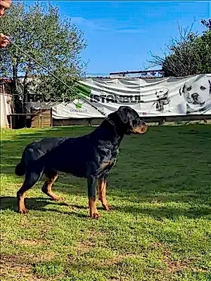 LULU HAUSE of iSTANBUL