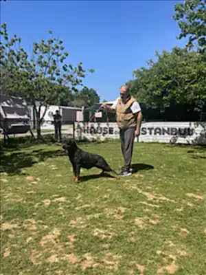 YAKIRA HAUSE OF ISTANBUL